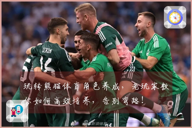 玩转熊猫体育角色养成，老玩家教你如何高效培养，告别弯路！