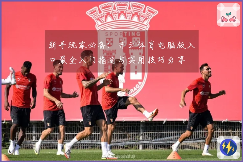 新手玩家必备：开云体育电脑版入口最全入门指南与实用技巧分享